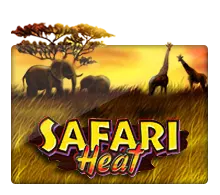 safariheat slotxo