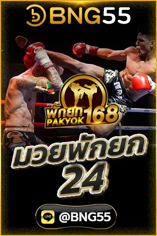 มวยพักยก 24